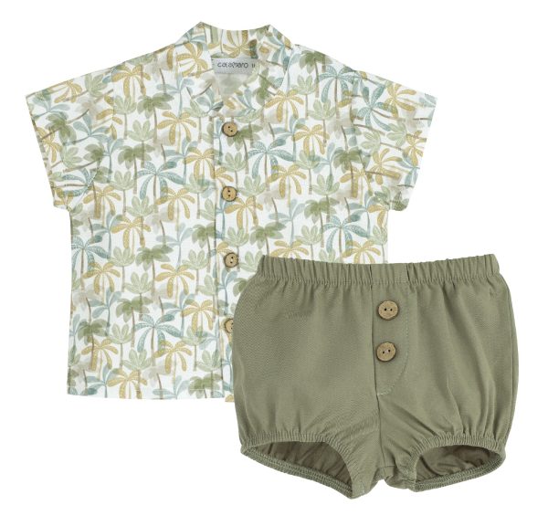 Completo Calamaro Baby